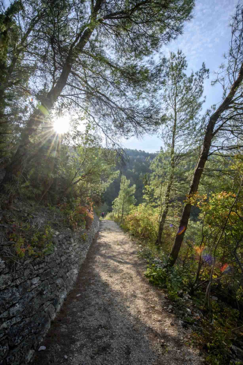 Posjeti NP &quot;Krka&quot; na Praznik rada, preuzmi svoju sadnicu i posadi je za budućnost!