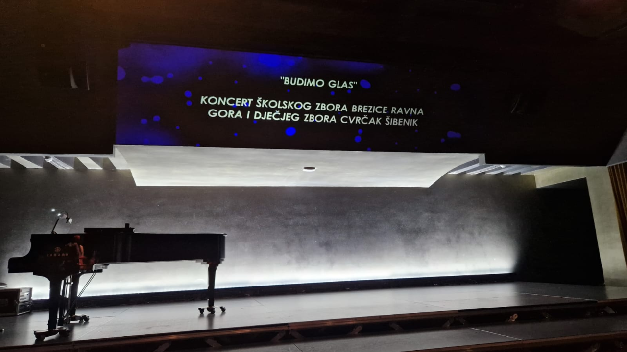 'Mali cvrčci' i njihovi gosti u Kući umjetnosti Arsen oduševili publiku koncertom 'Budimo glas' 