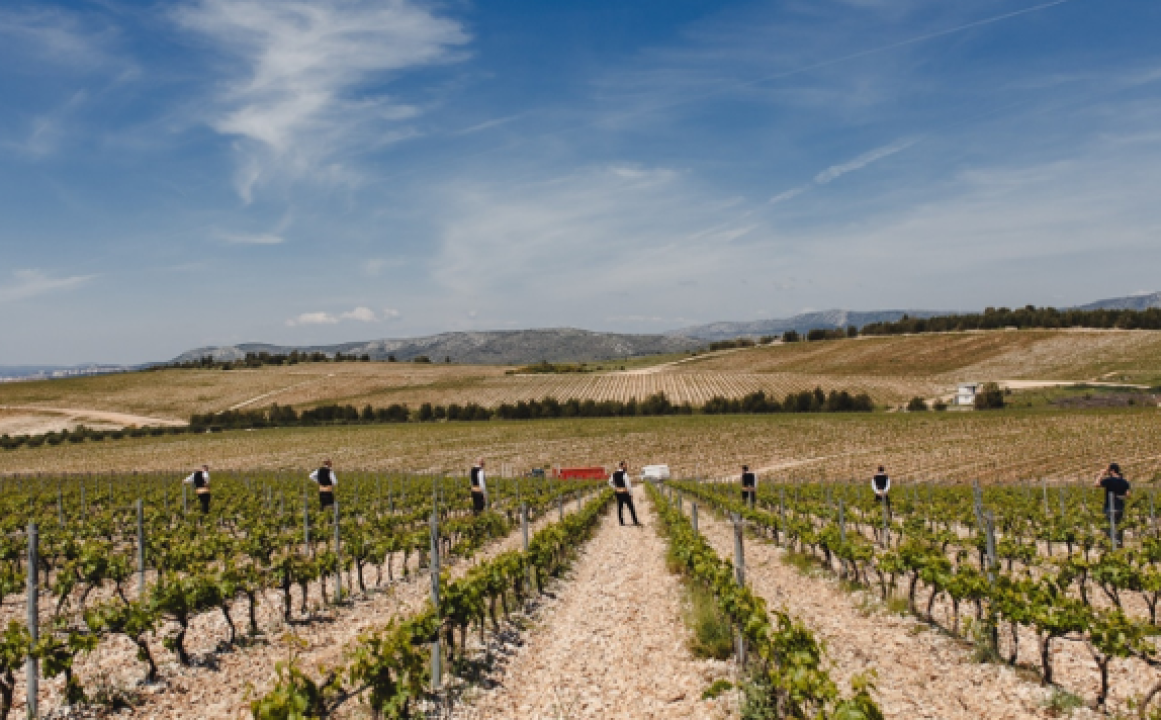 Alen Nižetić, Branimir Bubica i klapa Sebenico: Ujedinjene emocije u pjesmi 'Dalmacijo sestro'