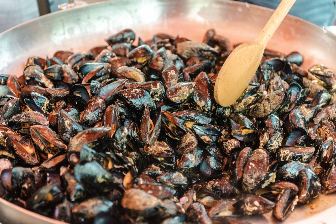 Motoristi na Šibenskom mostu: Voze od Pule do Dubrovnika i prikupljaju sredstva za bolesnu djecu