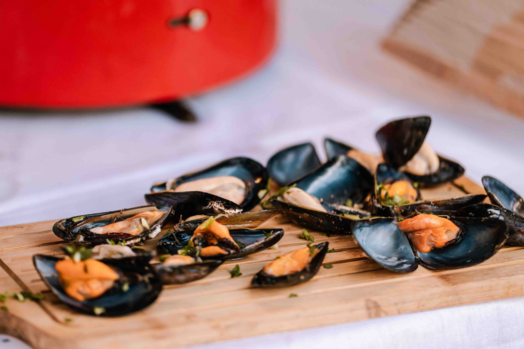 Ove subote doživite romansu pidoće i debita na šibenskoj rivi!