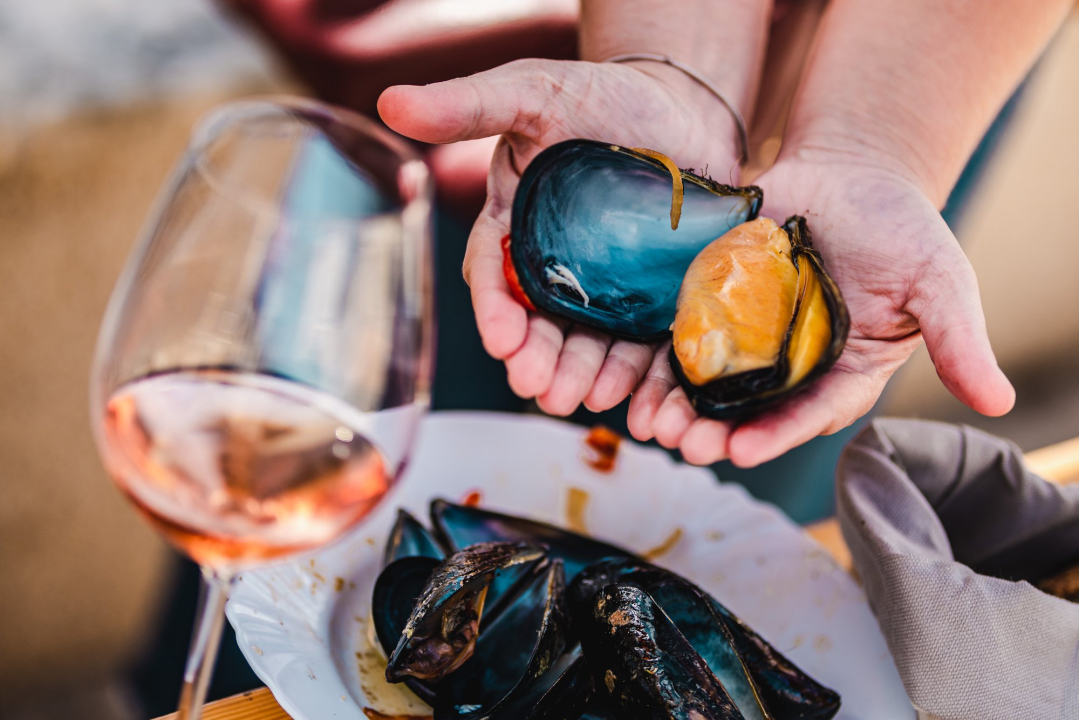 Ove subote doživite romansu pidoće i debita na šibenskoj rivi!