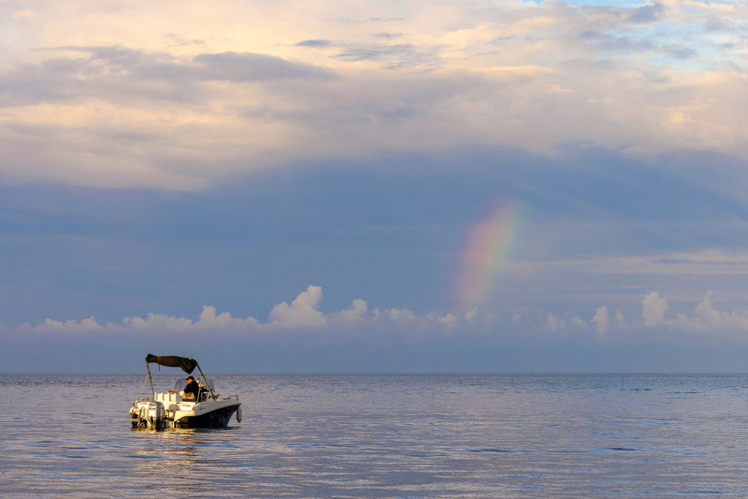 Nezaustavljiva Dina Levačić i prijatelji plivali putevima sredozemne medvjedice