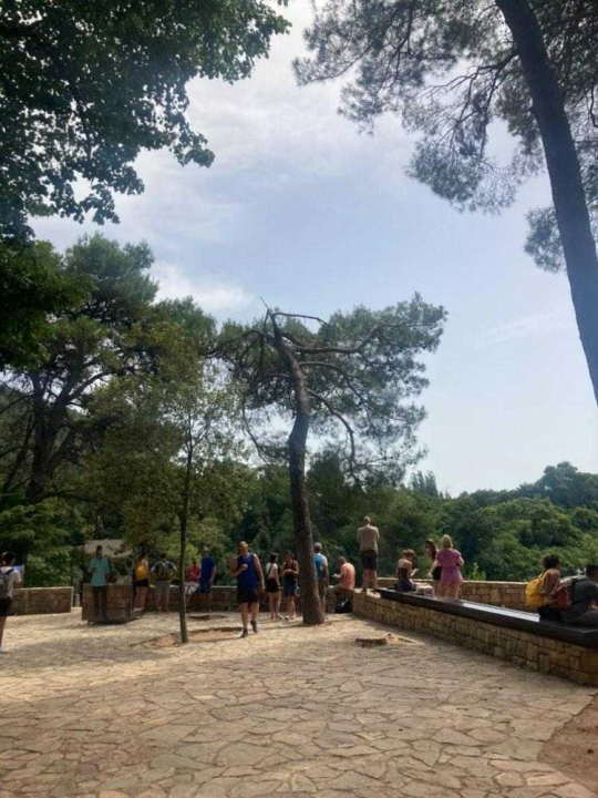 Uznemireni čitatelji snimili posječena stabla na Krki, iz NP-a poručuju: 'Bila su u vrlo lošem stanju'