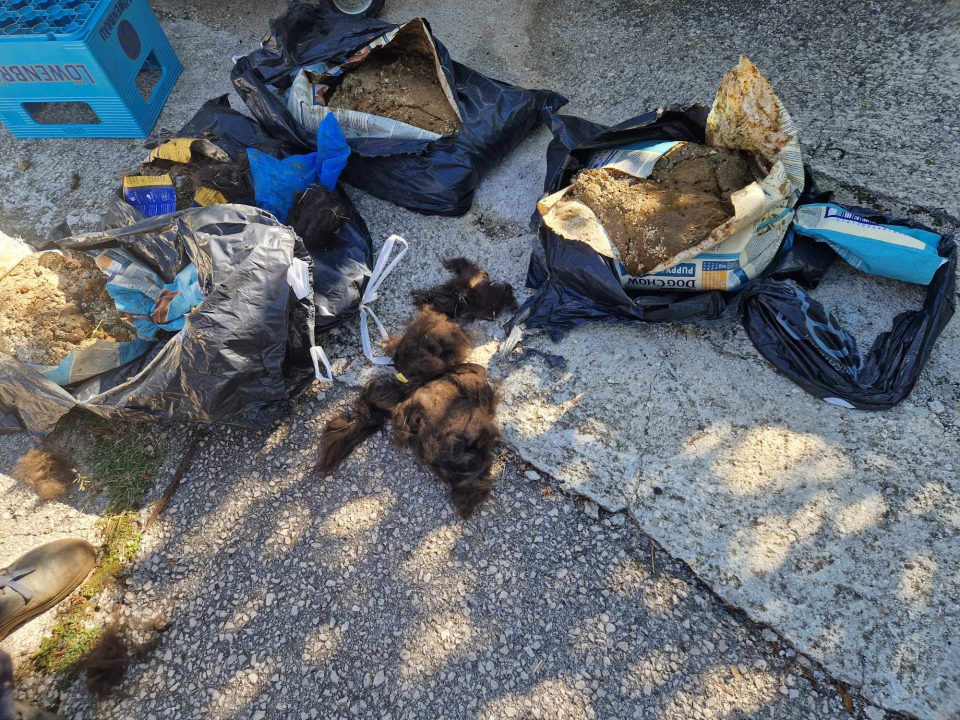 Volonteri kninske udruge ostavili 20 vreća životinjskog otpada u centru Kijeva