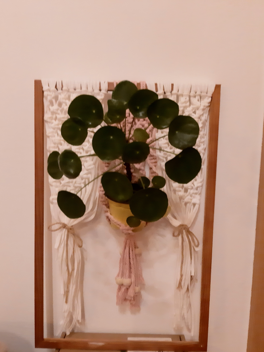 Vilinska čarolija u OŠ Petra Krešimira IV. Šibenik