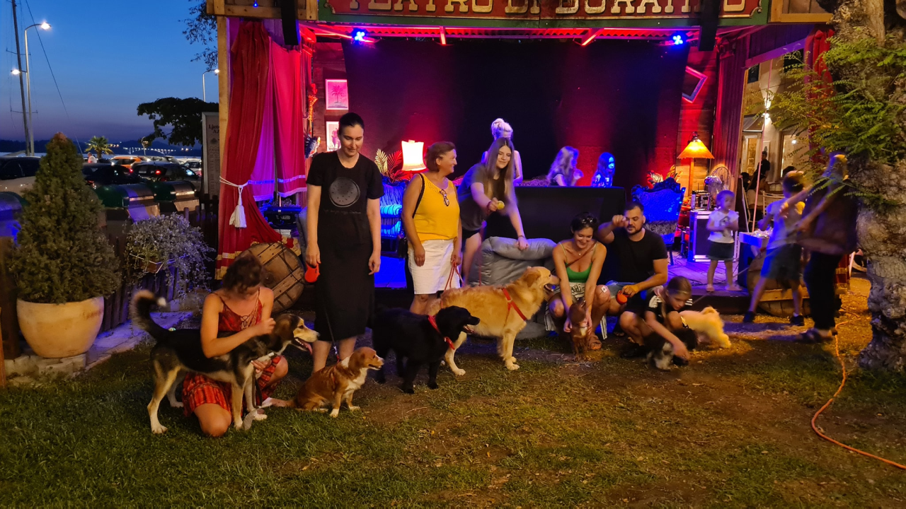 U Šibeniku izabrani najljepši psi mješanci