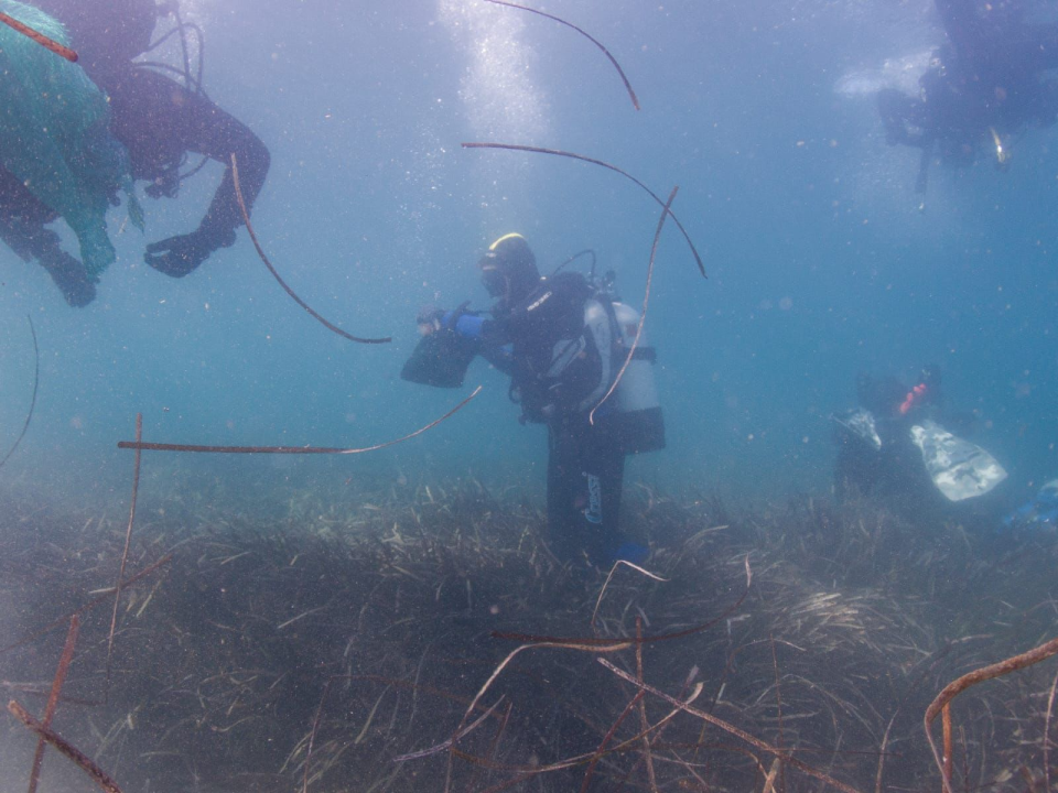 Čuvajmo Jadran zajedno: Duž obale održana velika simultana akcija čišćenja podmorja 