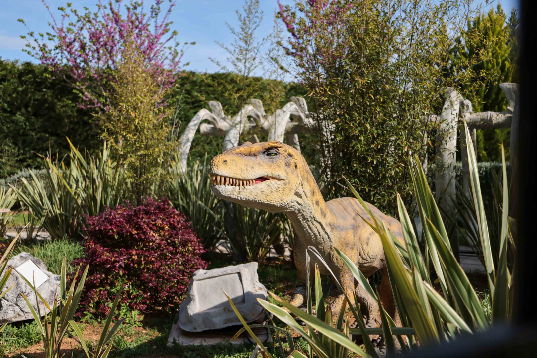 Poliklinika Affidea Vita svojim pacijenticama poklanja besplatne preglede dojki! 