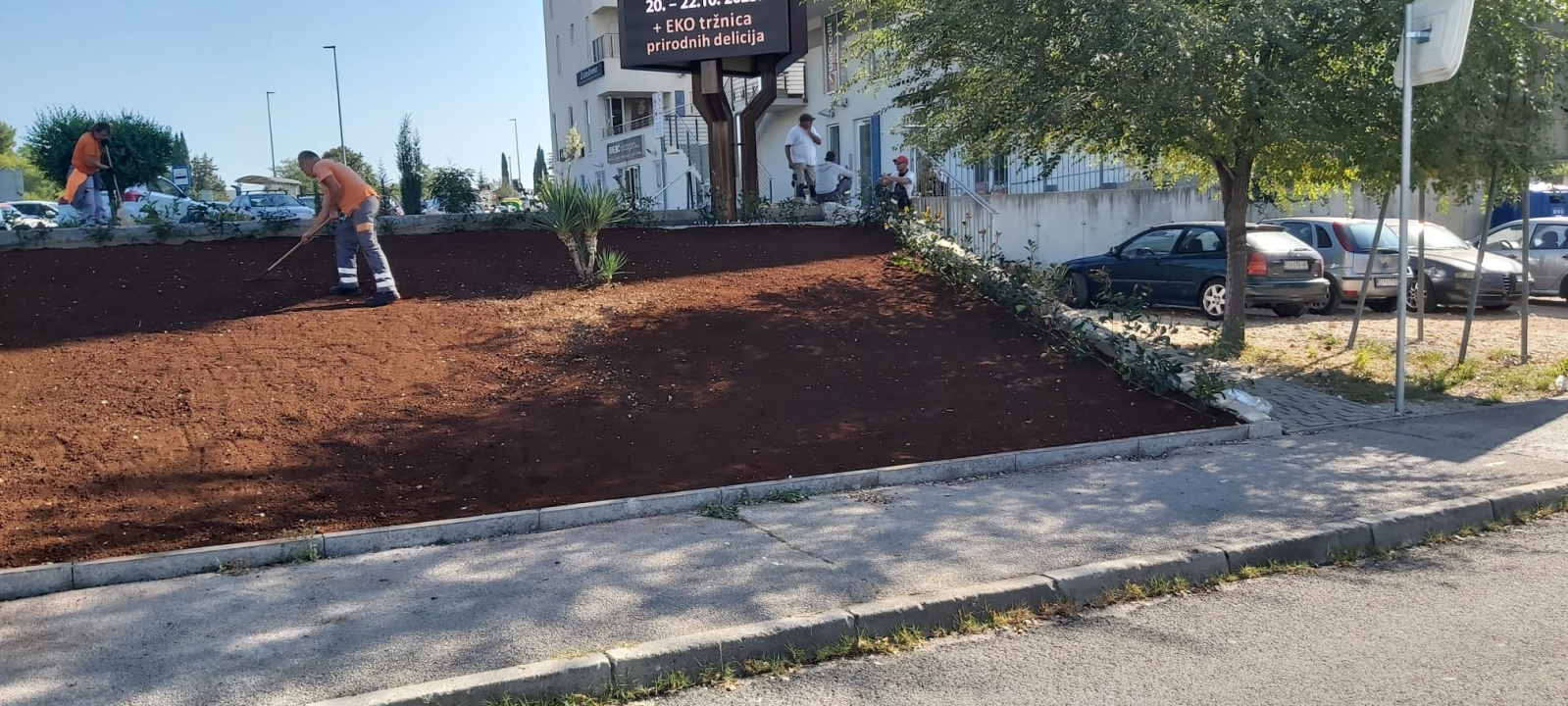 Zeleni grad Šibenik nastavlja s uljepšavanjem kvartova: Na Biocima posađene Yucca i Photinia 