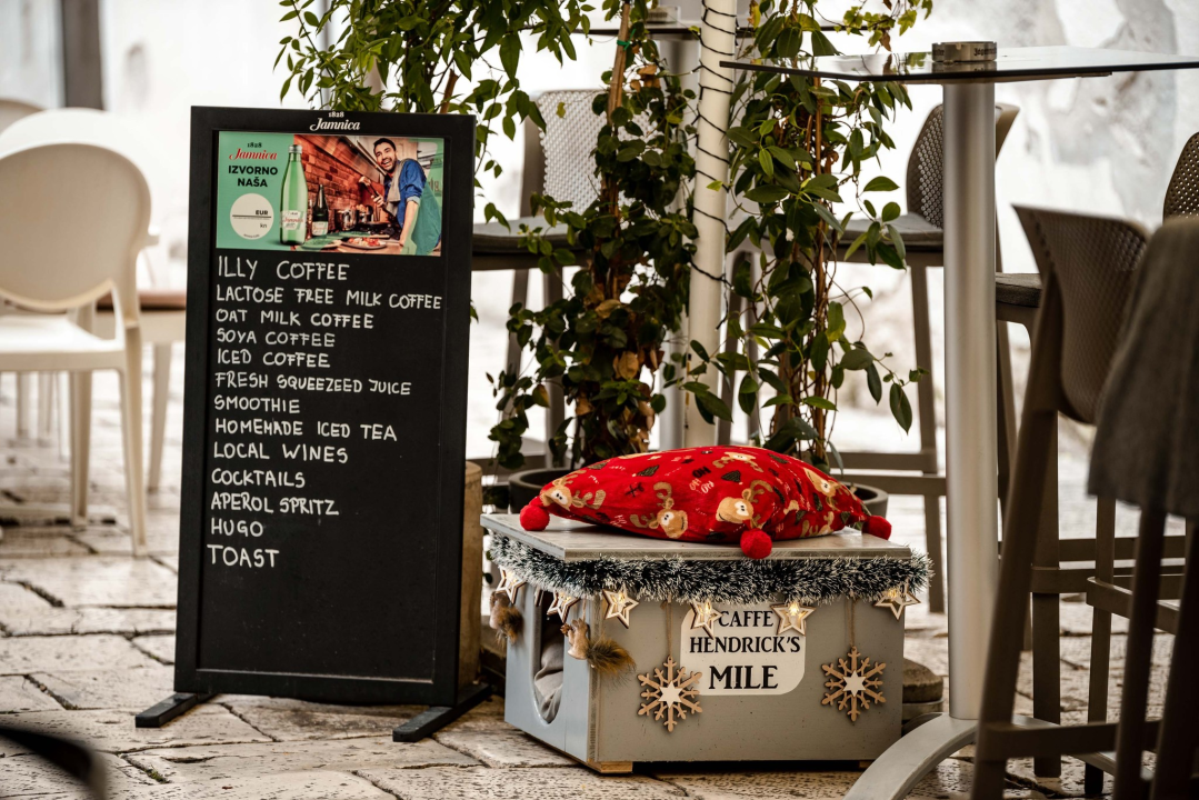 Šibenčani gradskim mačkama grade kućice: 'Mile rado spava u svojoj'