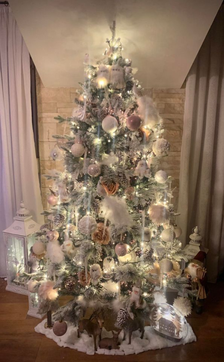 Provjerite tko su pobjednici izbora za naj jelku!