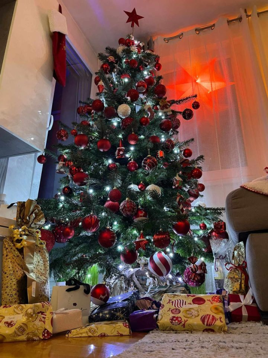 Provjerite tko su pobjednici izbora za naj jelku!