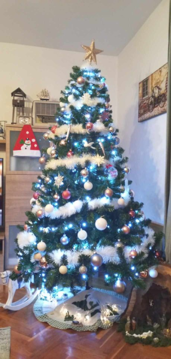 Provjerite tko su pobjednici izbora za naj jelku!