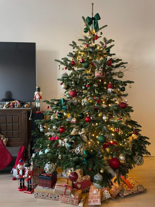 Provjerite tko su pobjednici izbora za naj jelku!