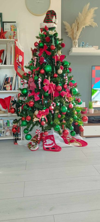 Provjerite tko su pobjednici izbora za naj jelku!