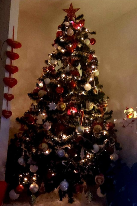 Provjerite tko su pobjednici izbora za naj jelku!