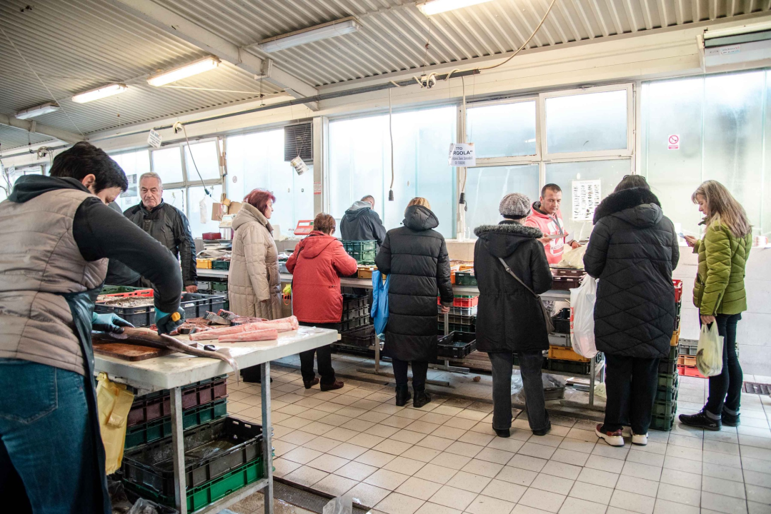 Šibenska peškarija danas nudi hamu, ribu na rubu istrebljenja u Jadranu