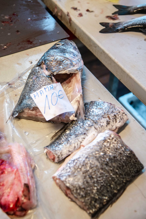 Šibenska peškarija danas nudi hamu, ribu na rubu istrebljenja u Jadranu