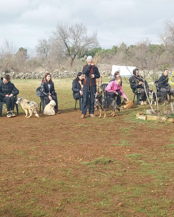 Marko Aleksić, interventni policajac i trener pasa: 'Odgoj psa treba shvatiti ozbiljno, a veću ljubav u životu nećete dobiti'