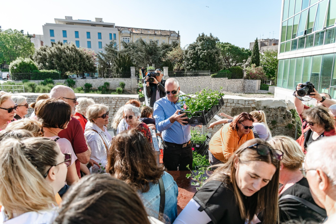 Gužva na Poljani: Šibenčani cvijeće najviše vole kad je besplatno