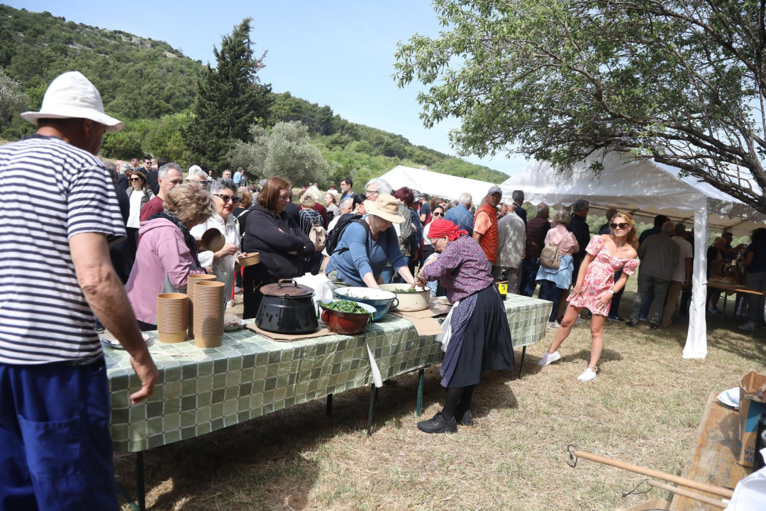 TZ grada Vodica i ove godine organizirao piknik u Rakitnici