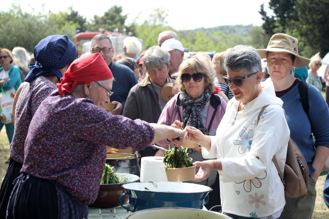 TZ grada Vodica i ove godine organizirao piknik u Rakitnici