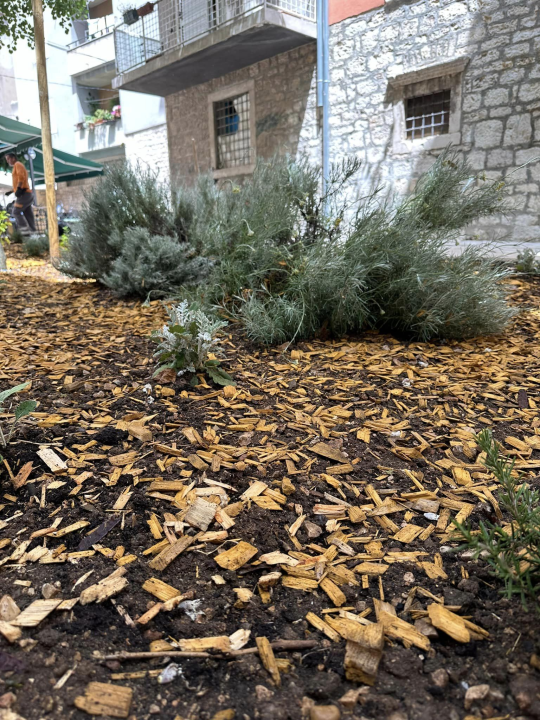 U centru grada uređena nova zelena površina: 'Neka ovo bude poticaj i drugim kvartovima'
