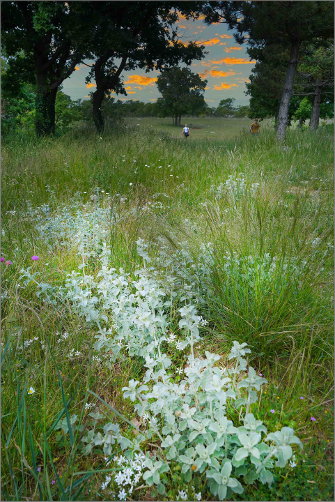 Na Promini otvoreno novo penjalište Magaretaš sa čak 35 penjačkih pravaca