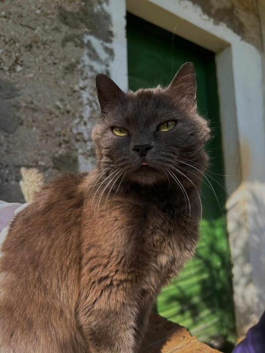 Provjerite tko su naj ljubimci 2024. godine!