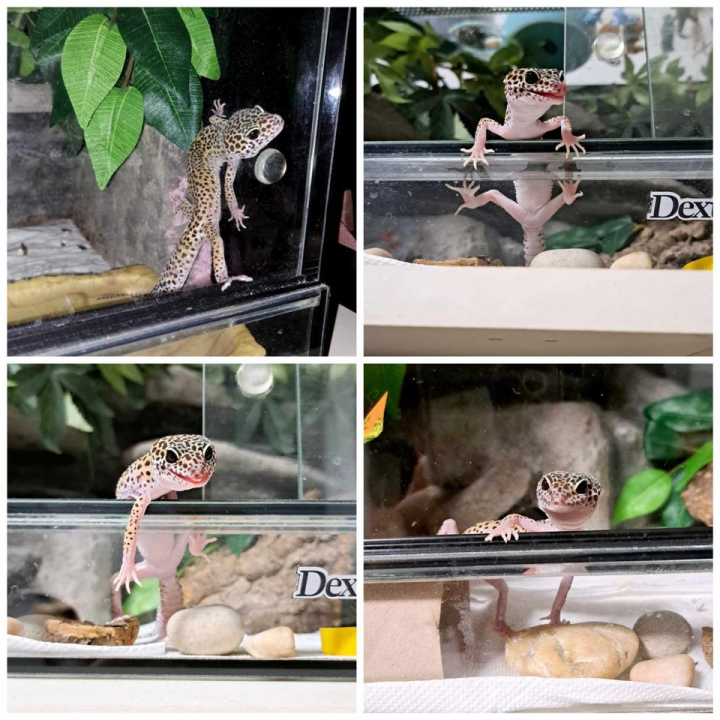 Omiljeni bistro Kod Starog odlično je odredište i u ljetnim danima!