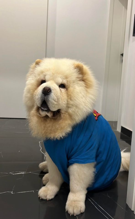 Provjerite tko su naj ljubimci 2024. godine!