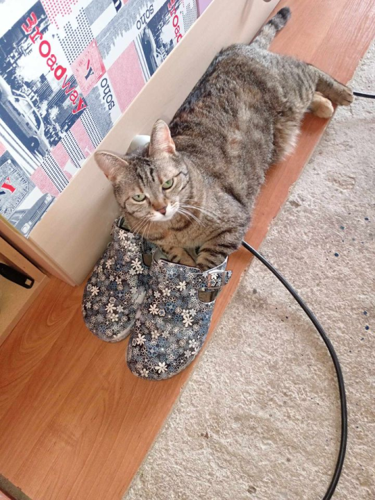 Provjerite tko su naj ljubimci 2024. godine!