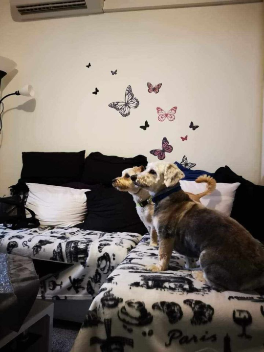 Provjerite tko su naj ljubimci 2024. godine!