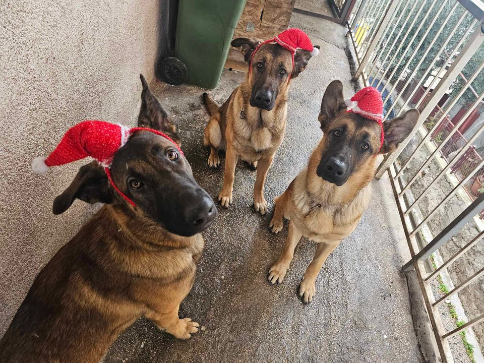 Omiljeni bistro Kod Starog odlično je odredište i u ljetnim danima!