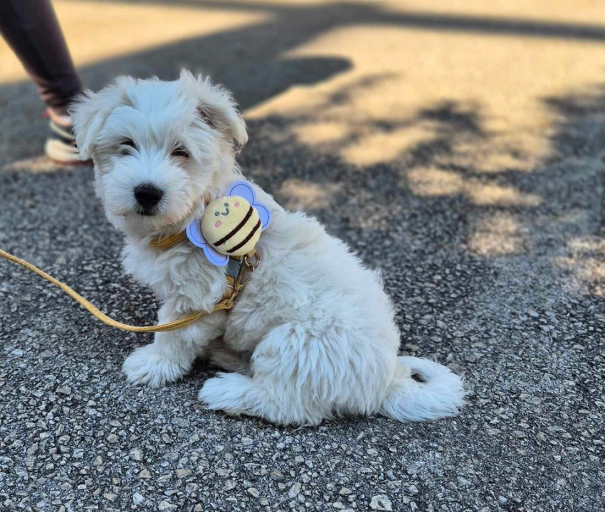 Provjerite tko su naj ljubimci 2024. godine!