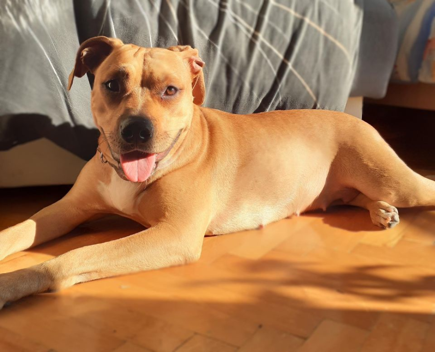 Provjerite tko su naj ljubimci 2024. godine!