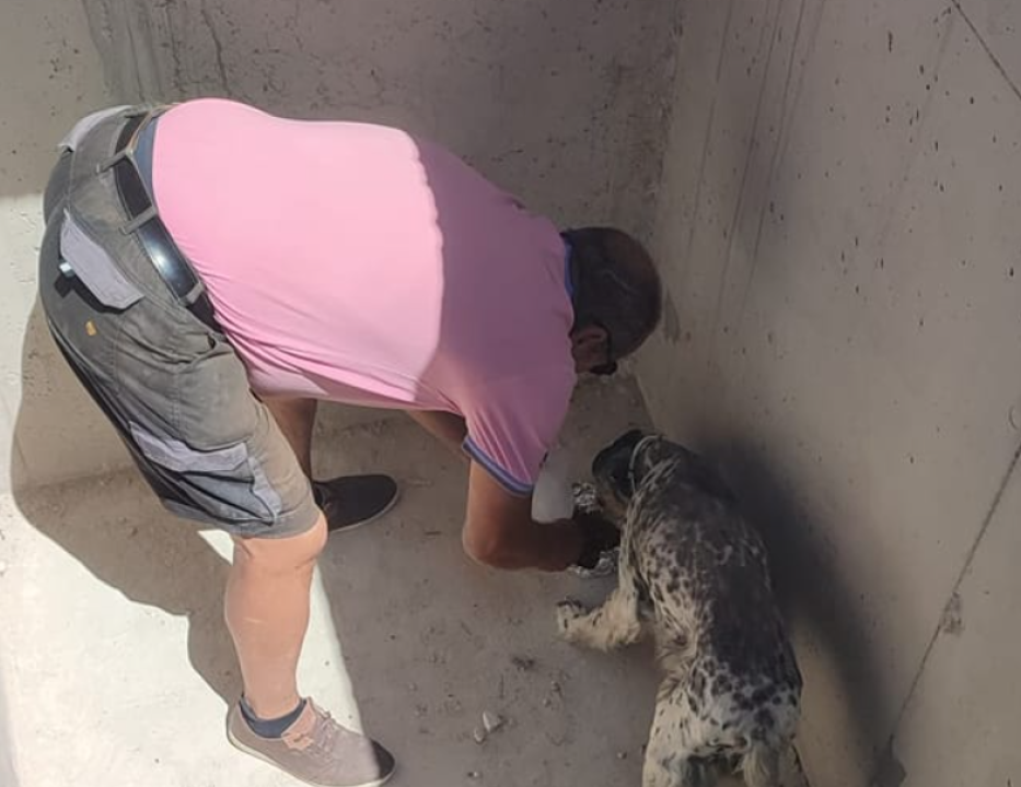 Nisu sve priče s Kvanja tužne: Vlasnik došao po psa kojeg su pronašli u grobnici