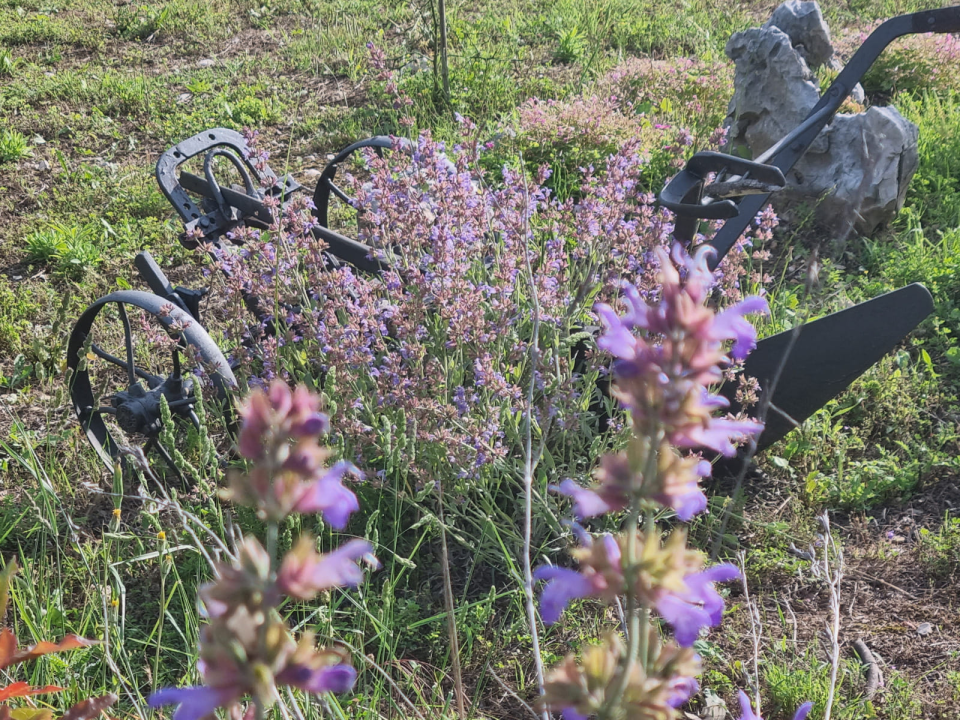Doris Banić u Dubravicama ima penthouse i hotel, a njezini 'gosti' boravak ne plaćaju