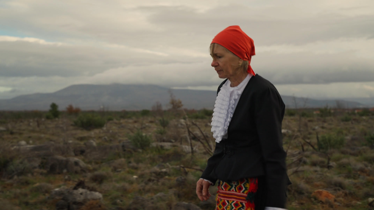 Film Tomislava Krnića dobitnik zlatne medalje na prestižnom festivalu: 'Nagrada je potvrda da dobro radimo'