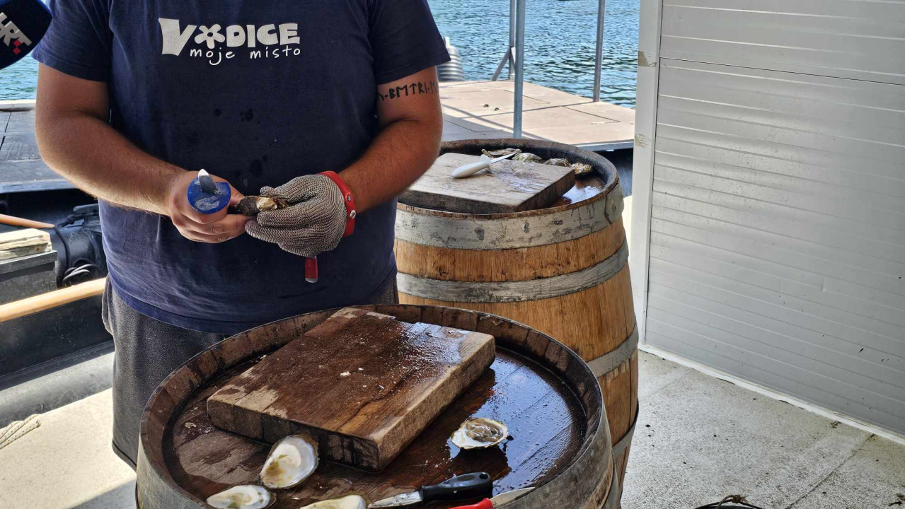 Turizam u Dalmaciji počeo je prije 180 godina u Šibeniku, a danas smo prošli rutom prvih turista