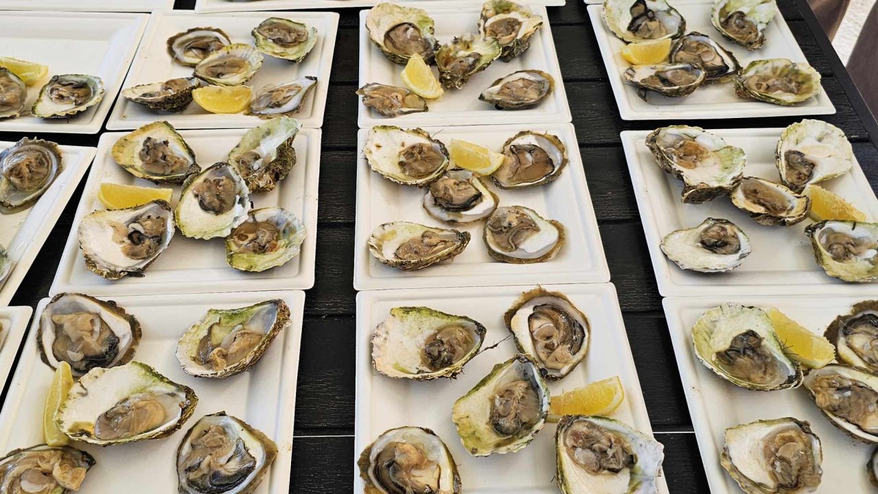 Turizam u Dalmaciji počeo je prije 180 godina u Šibeniku, a danas smo prošli rutom prvih turista