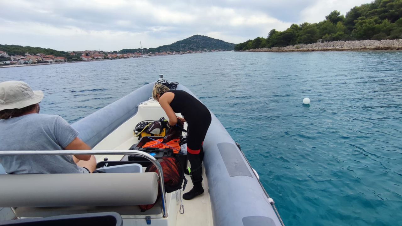 Vidjeli ste plemenitu perisku? Dojavite lokaciju i osvojite nagradu