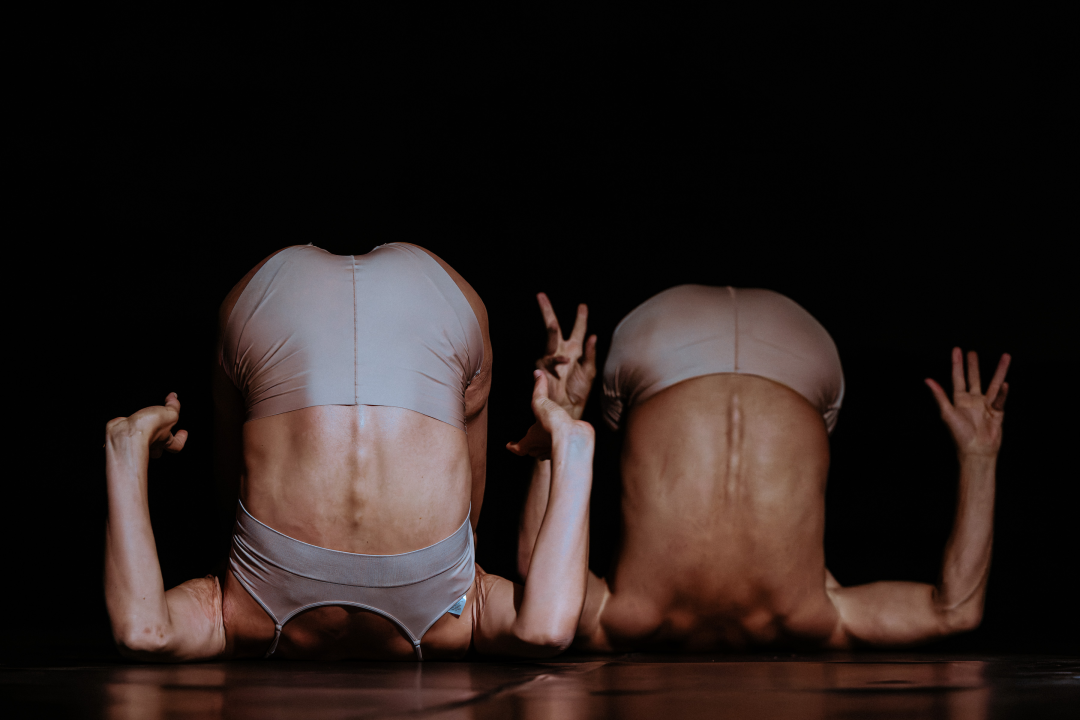 Anatomija zagrljaja i preispitivanje percepcije vlastitog tijela na tvrđavi Barone