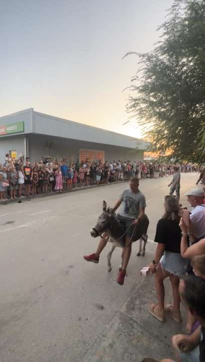 Ante Baus pobjednik trke na tovarima u Pirovcu