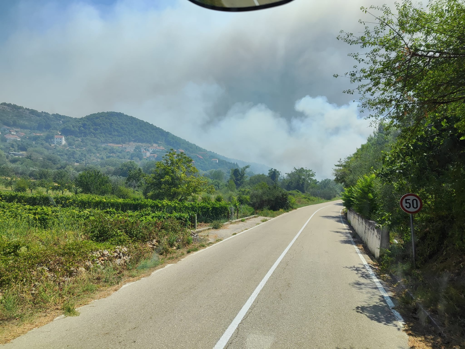 Vodički vatrogasci, nakon pet dana na požarištu, spasili mladog sokola