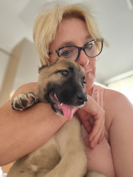 Mače koje je bešćutno izbačeno na ulicu, pronašlo novi dom na Ivaninoj farmi: 'Predobra je'