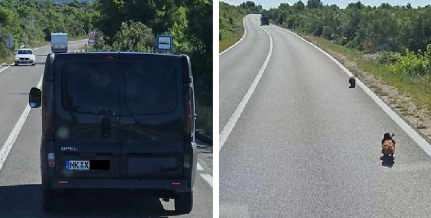 Kod Draga na magistrali iz njemačkog kombija izbacili dva psa i nastavili vožnju prema Šibeniku