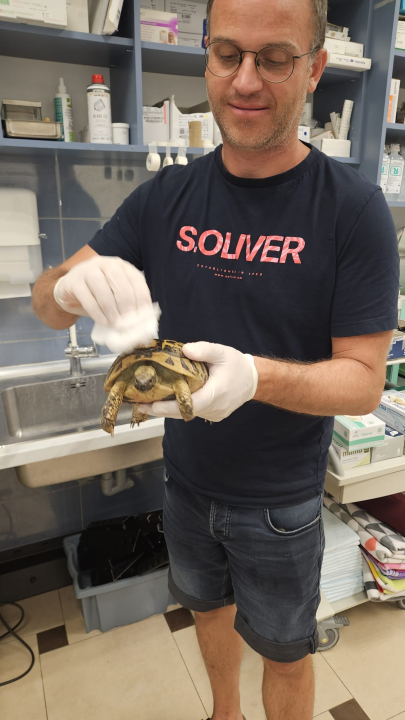 Ozlijeđena čančara vraćena u divljinu nakon uspješnog oporavka