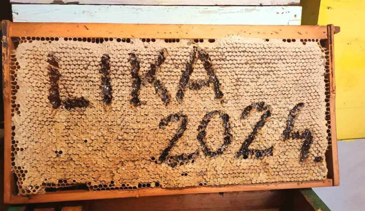 Krešimir je inženjer, ali i pčelar kojemu je hobi postao posao: 'U ovome ne smije biti matematičke računice'